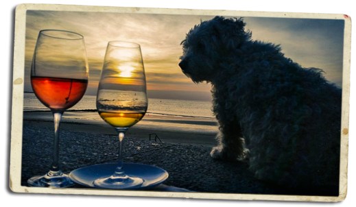 milchbar-bearbeitet-2-bearbeitet