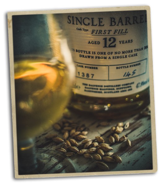 unbenannt-2403-bearbeitet-bearbeitet-bearbeitet-2