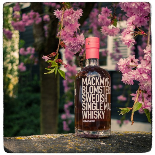 unbenannt-4117-Bearbeitet