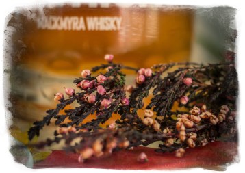 unbenannt-7546-Bearbeitet