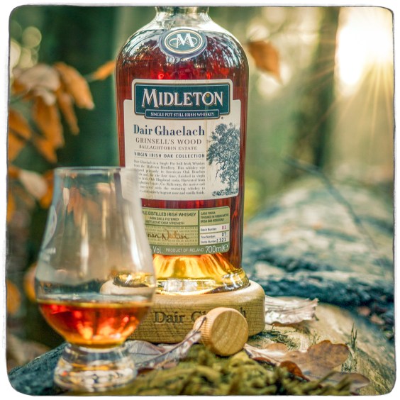 unbenannt-6953-bearbeitet-bearbeitet-bearbeitet